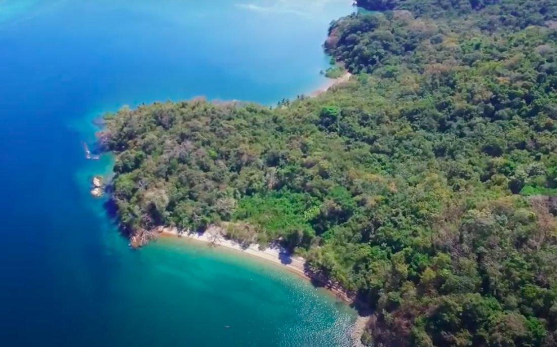 Forested headlands meet clear water
