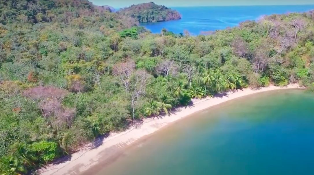 A beach on the coast